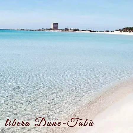 Tersa Porto Cesareo